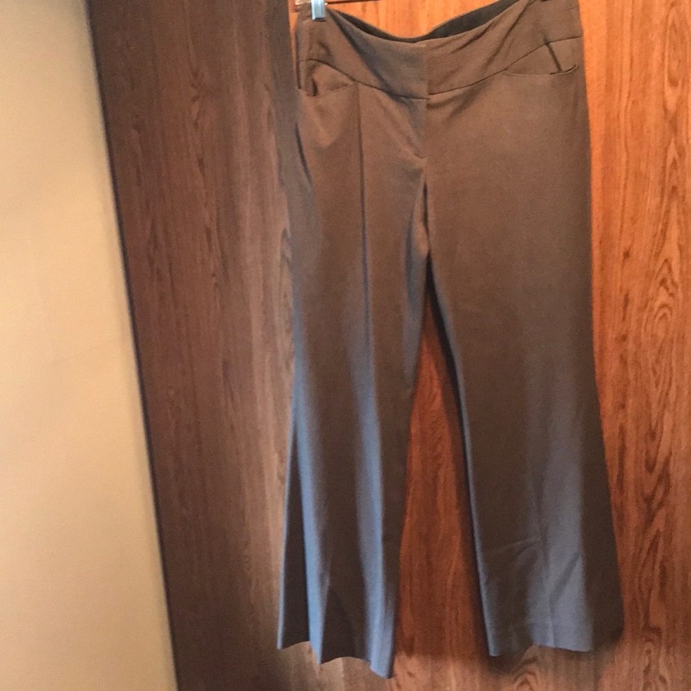 Express Editor Pants